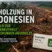 Abholzung Indonesien klimaneutrale Verpackungen zeigt zerstörten Regenwald und Greenwashing bei Medikamentenverpackungen